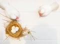 Overhead view of two white pigeon statue bird and bird nest with