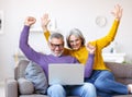 Overjoyed excited senior family couple celebrating success while sitting on sofa with laptop Royalty Free Stock Photo