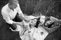 Overjoyed young family having a picnic in summer Royalty Free Stock Photo