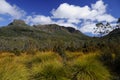 Overland Track, Tasmania Royalty Free Stock Photo