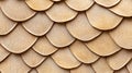 Overlapping Beige Scale-Like Surface Texture Royalty Free Stock Photo