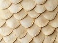 Overlapping Beige Scale Pattern Texture Royalty Free Stock Photo