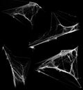 Overlay the cobweb effect. A collection of spider webs isolated on a black background. Spider web elements as decoration to the de Royalty Free Stock Photo