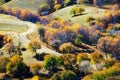 Overlook autumn forest on the grassland