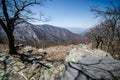 An overlook into the Blue Ridge Mountains along Skyline Drive in Shenandoah National Park during early spring with bare trees Royalty Free Stock Photo