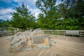 Overlook of Great Falls at Olmsted Island at Chesapeake & Ohio C