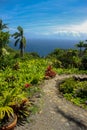 Overlook at Keanae Arboretum Royalty Free Stock Photo