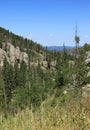 Overlook over the needles highway