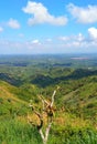 Overlooking Forest View