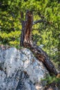 An overlooking landscape of Gates of the Mountain in Helena National Forest, Montana