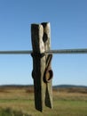 A Clothes Peg on a Washing Line