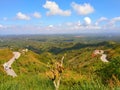 Overlooking nature view from Peoples Park Sky Ranch in Tagaytay