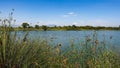 Overlooking one of the ponds at San Joaquin Marsh