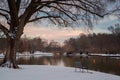 Overlooking the pond at Freedom Park Royalty Free Stock Photo