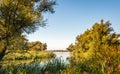 Overlooking a river from a nature reserve in autumn colors Royalty Free Stock Photo