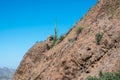 An overlooking view of nature in Apache Junction, Arizona