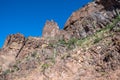 An overlooking view of nature in Apache Junction, Arizona