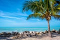 The overlooking view of the shore in Key West, Florida Royalty Free Stock Photo