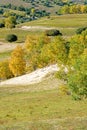 overlooking White Birch on the hillside