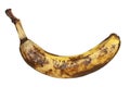 Overripe banana