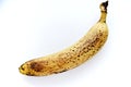 Overripe bananas on a white background. Ripe yellow fruit