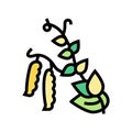 overripe peas color icon vector illustration