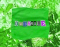 Overrule word from paper magazins letters on green distorted frame and chaotic paint strokes. Grunge textured background