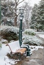 Overs of lanterns in valentino park,wintertime in Turin .