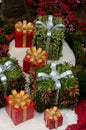 Oversize Christmas gifts with ribbons some wrapped in green plants