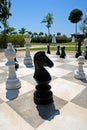 Oversize outdoor chess board