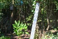 Oversized quicksilver thermometer in the blazing sun