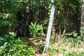 Oversized quicksilver thermometer in the blazing sun