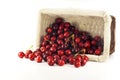 A overturn basket with spilled cherries Royalty Free Stock Photo