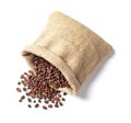 Overturned bag with roasted coffee beans on white background Royalty Free Stock Photo