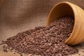 Overturned bowl with linseeds Royalty Free Stock Photo
