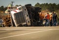 Workers with overturned logging truck