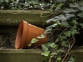 Overturned flower pot and ivy on old wooden steps. Royalty Free Stock Photo