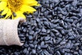 Overturned small bag with sunflower seeds with a yellow flower on a background Royalty Free Stock Photo