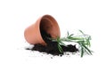 Overturned terracotta flower pot with soil and plant isolated Royalty Free Stock Photo