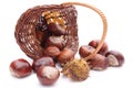 Overturned wicker basket with chestnuts on white background Royalty Free Stock Photo