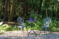 Overview of beautiful, vintage style wrought iron garden seats and table surrounded by summer flowers plants and trees in hazy