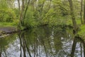 Overview of a Canal in a Forest in Country Estate Oosterbeek, Wassenaar, The Netherlands