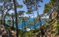 Overview of the coast of Portofino Royalty Free Stock Photo