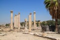 Overview of columns amongst other ruins and rubble at the archaeological park of Beit She`an