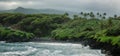 Overview of Honokalani Black Sand Beach Road to Hana, Maui