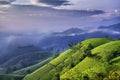 Overview of Long Coc green tea hill, Phu Tho, Vietnam