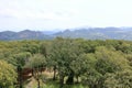 Overview of the National Park of Barbagia with limestone rocks and green forest hill, mountain. Central Sardinia, Italy, summer