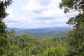 Overview of the National Park of Barbagia with limestone rocks and green forest hill, mountain. Central Sardinia, Italy, summer