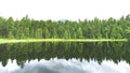 Overview of a pine forest reflecting on the lake
