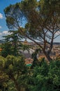 Overview of trees, cathedrals domes and roofs of buildings on a sunny day in Rome Royalty Free Stock Photo